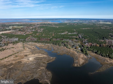 27947 Fairmount Rd, Westover, MD 21871 - photo 7