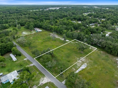 0 Wilson Rd, Bithlo, FL 32833 - photo 3