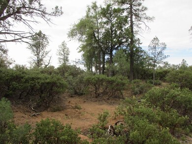 1404 E Graham Ranch Trail, Payson, AZ 85541 - photo 5