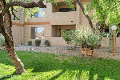 6-web-or-mls-DSC04552