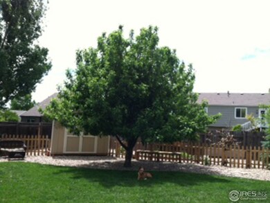 garden area