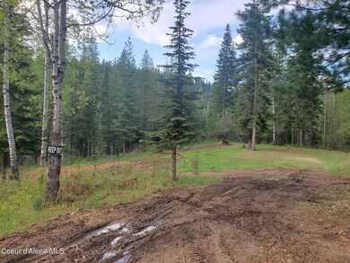 NKA McBaine Loop