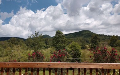 Additional View