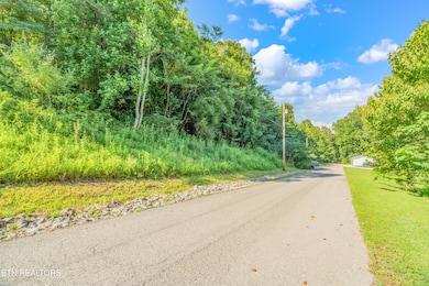 2 Shanghai Landing Ln, Lafollette, TN 37766 - photo 3