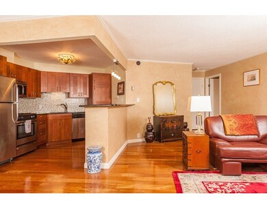 Imperial Towers unit 707, Chestnut Hill, MA 02467 - photo 3
