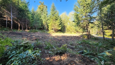 5728 Duane Ln NW, Olympia, WA 98502 - photo 4