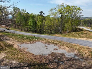 LT 20 Blalock Mountain Rd, Ellijay, GA 30175 - photo 5