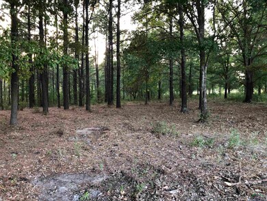 TBD Cr 233, Arp, TX 75750 - photo 5