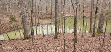 55071f8b-f679-4eb2-8c6f-b945897882e9