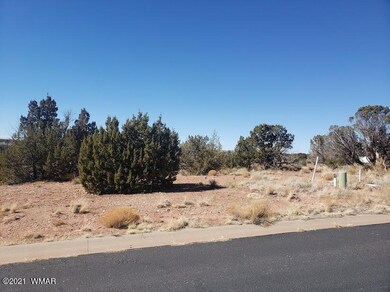 0 S Pioneer Trail Lot 161 unit 233733, Snowflake, AZ 85937 - photo 5