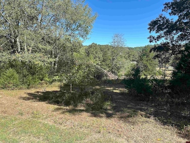 Lot 38 Bluffview Place, Flippin, AR 72634 - photo 2