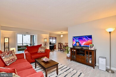 5901 Mount Eagle Dr unit 706, Alexandria, VA 22303 - photo 2