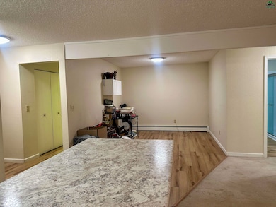 4378 Dartmouth Dr unit 21, Fairbanks, AK 99709 - photo 5