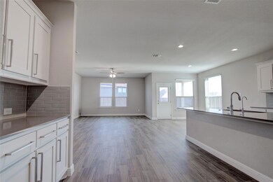 2333 Waggoner Ranch Dr, Weatherford, TX 76087 - photo 5