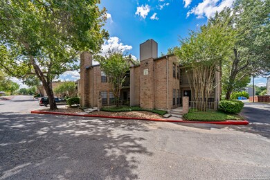 7711 Callaghan Rd unit 101, San Antonio, TX 78229 - photo 3