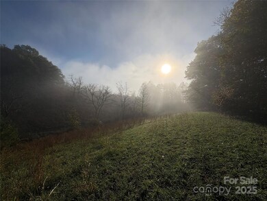 24 Bob Wright Hill Rd, Leicester, NC 28748 - photo 4