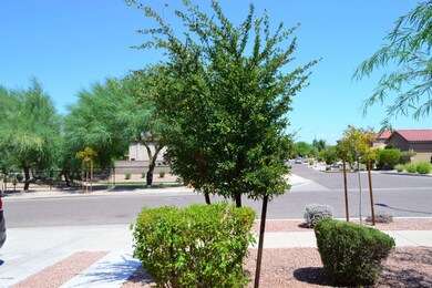 View From Entry
