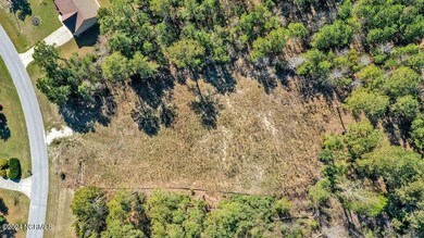 108 Calcos Ct, Stump Sound, NC 28445 - photo 3