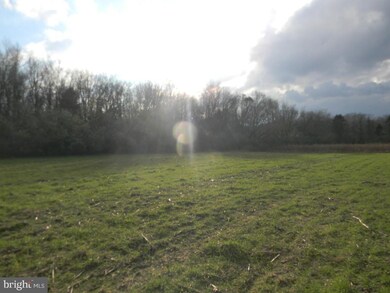 391 Main Rd, Vineland, NJ 08360 - photo 3