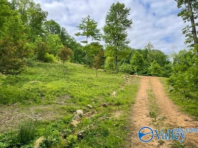 646 Keel Mountain Rd, Gurley, AL 35748 - photo 4