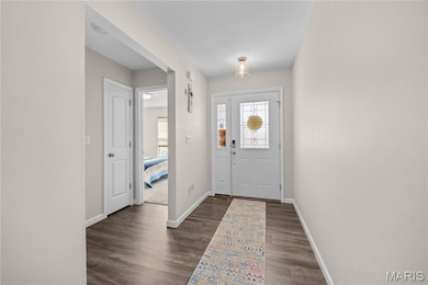 3422 Chippewa Dr, Belleville, IL 62221 - photo 3