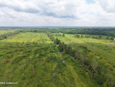 001 Reed Rd, Starkville, MS 39759 - photo 6