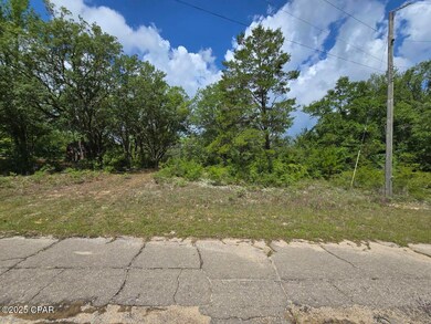 Lot 7 Caldwell Place, Chipley, FL 32428 - photo 7