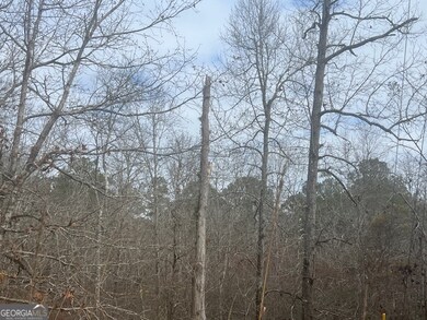 0 Sunshine Dr unit 10654666, Sparta, GA 31087 - photo 6