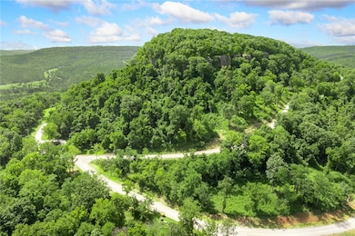 Lot 65 Restore Ridge, Harrison, AR 72601 - photo 3