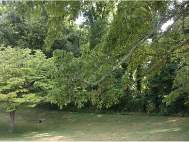 705 Hiwassee Hill Dr, Johnson City, TN 37601 - photo 5