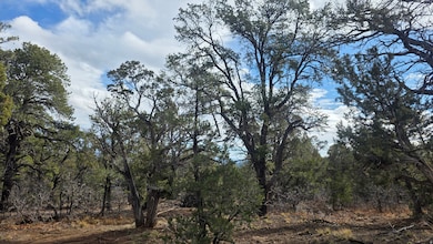 95 Wray Mesa Rd unit 10, La Sal, UT 84530 - photo 4