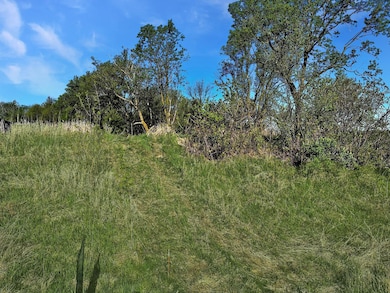 TBD Lake Ave, Shieldsville Township, MN 56052 - photo 7