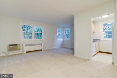 206 N Trenton St unit 2062, Arlington, VA 22203 - photo 4