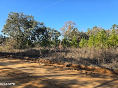 TBD Lot 4 Peanut Rd, Cottondale, FL 32431 - photo 5