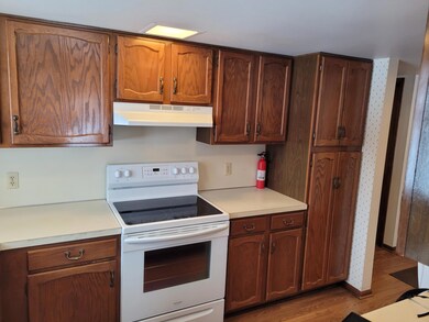 condo kitchen 3
