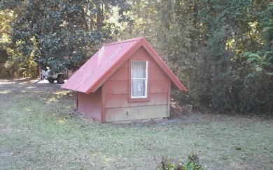 3663 SW Wilson Springs Rd, Fort White, FL 32038 - photo 3