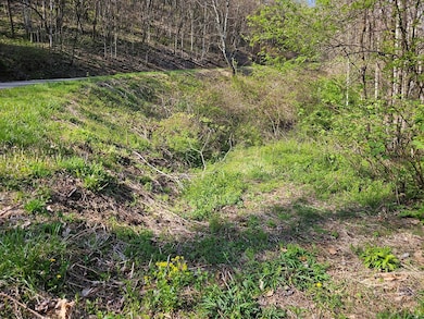 29A Timber Estates Rd, Charleston, NC 28713 - photo 4