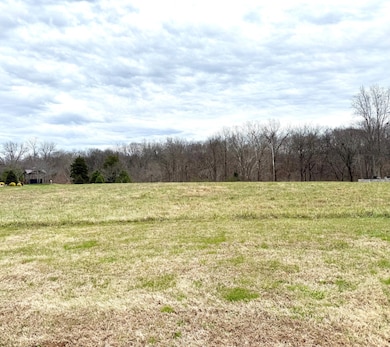 0 Cove Ln unit RTC3056801, Lawrenceburg, TN 38464 - photo 2