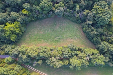 0 Joe Buck unit 24562142, Dittmer, MO 63023 - photo 5