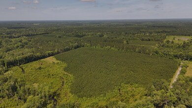 DJI_20250611102935_0056_D