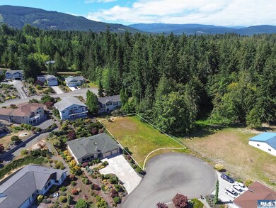 Lot 19 Topaz Way, Sequim, WA 98382 - photo 4