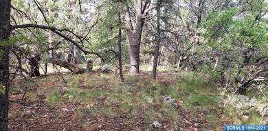 72x Joseph Blane Rd, Silver City, NM 88061 - photo 6
