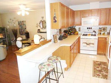 6101 S Parkside Ave unit C, Chicago, IL 60638 - photo 6