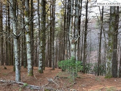 25 Davis Acres Dr, West Jefferson, NC 28694 - photo 5