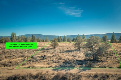 Chiloquin Acreage-7-Edit-MLS