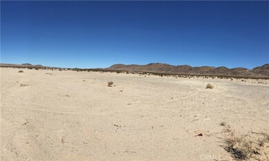 3000 Sunfair Rd, Joshua Tree, CA 92252 - photo 4