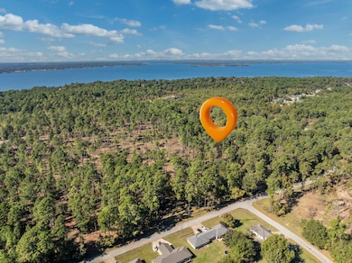 0 Pintail Lot 3, Flint, TX 75762 - photo 3