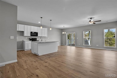 2328 Fiddlers Close Rd unit 44 STB, Washington, MO 63090 - photo 3