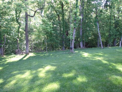 Rear Yard backing up to green space