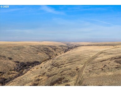 0 E Badger Canyon Rd unit 655770689, Condon, OR 97823 - photo 3